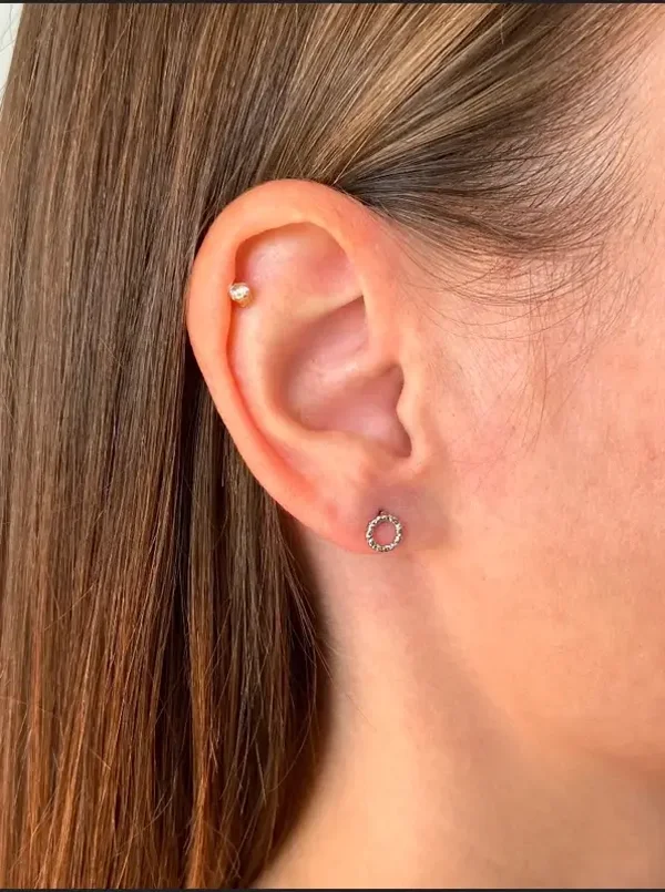 Boucles d'oreilles cercles clous acier inoxydable