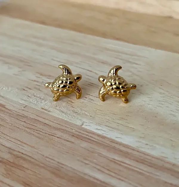 Puces tortues acier inoxydable