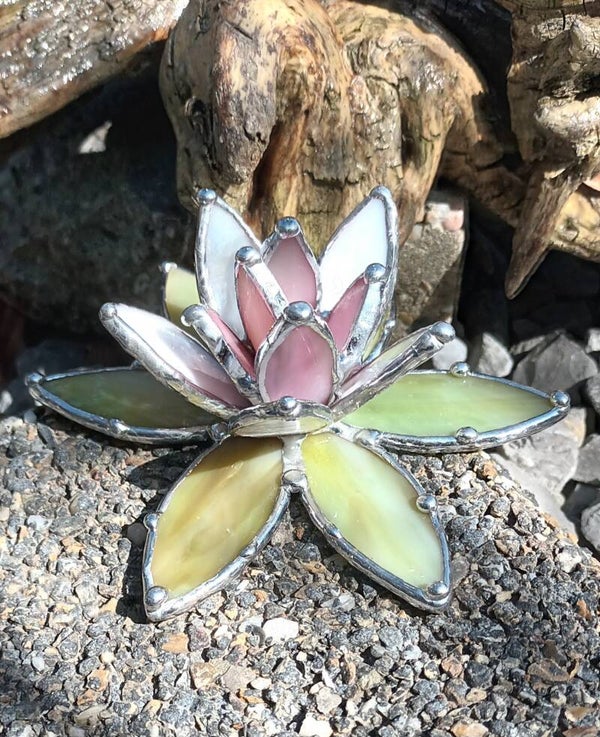 Waterlelie bloem