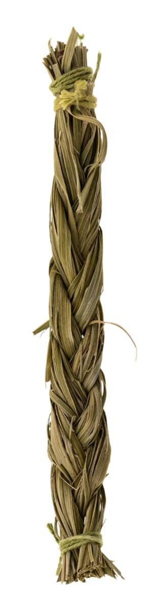 Sweetgrass L: 10 cm