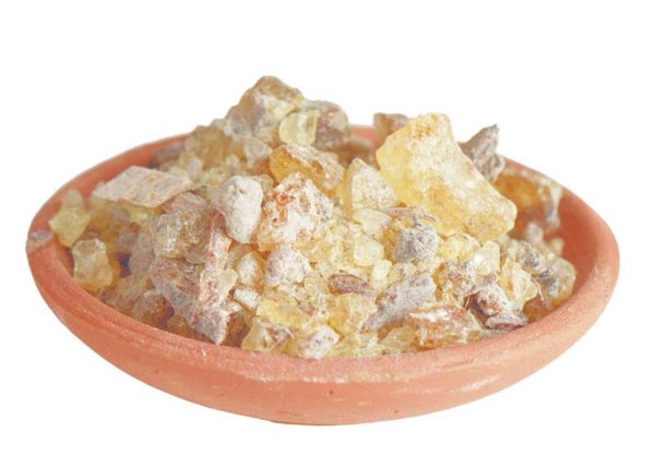 Copal Kongo - Reine Harze