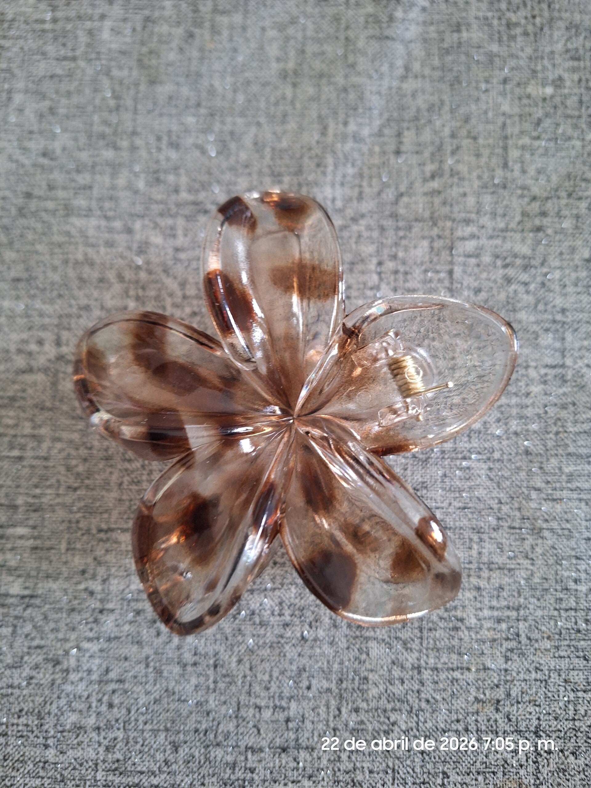 Pinza hawaiana leopardo grande