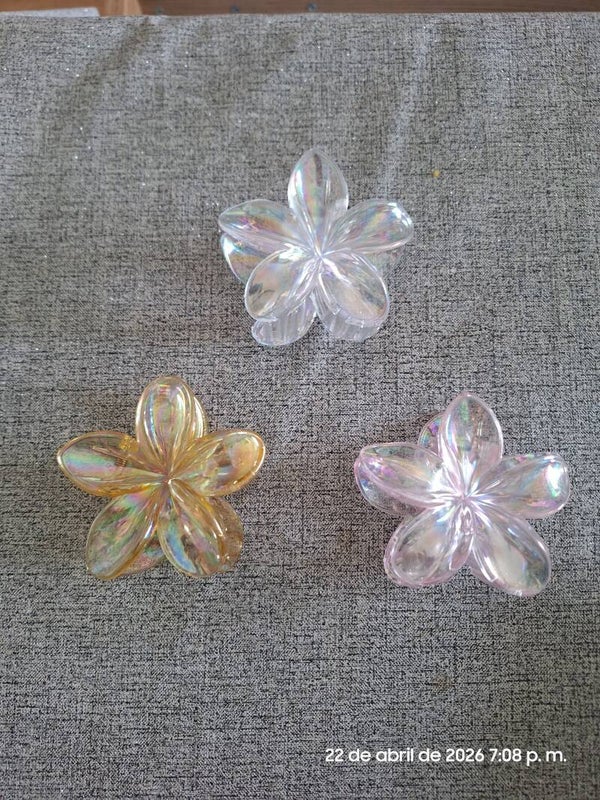 Pinzas hawaiana transparentes grande