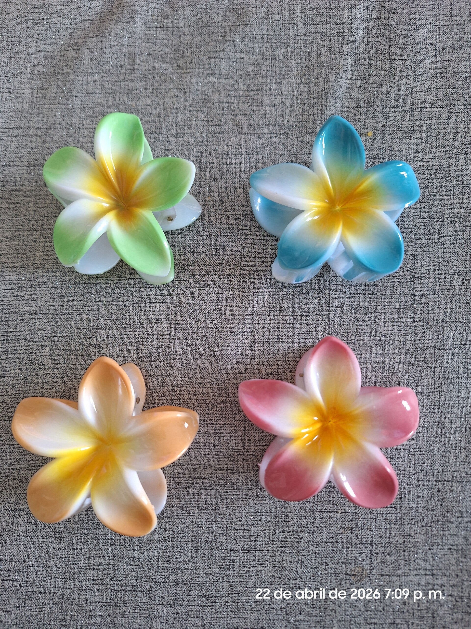 Pinzas grande hawaiana