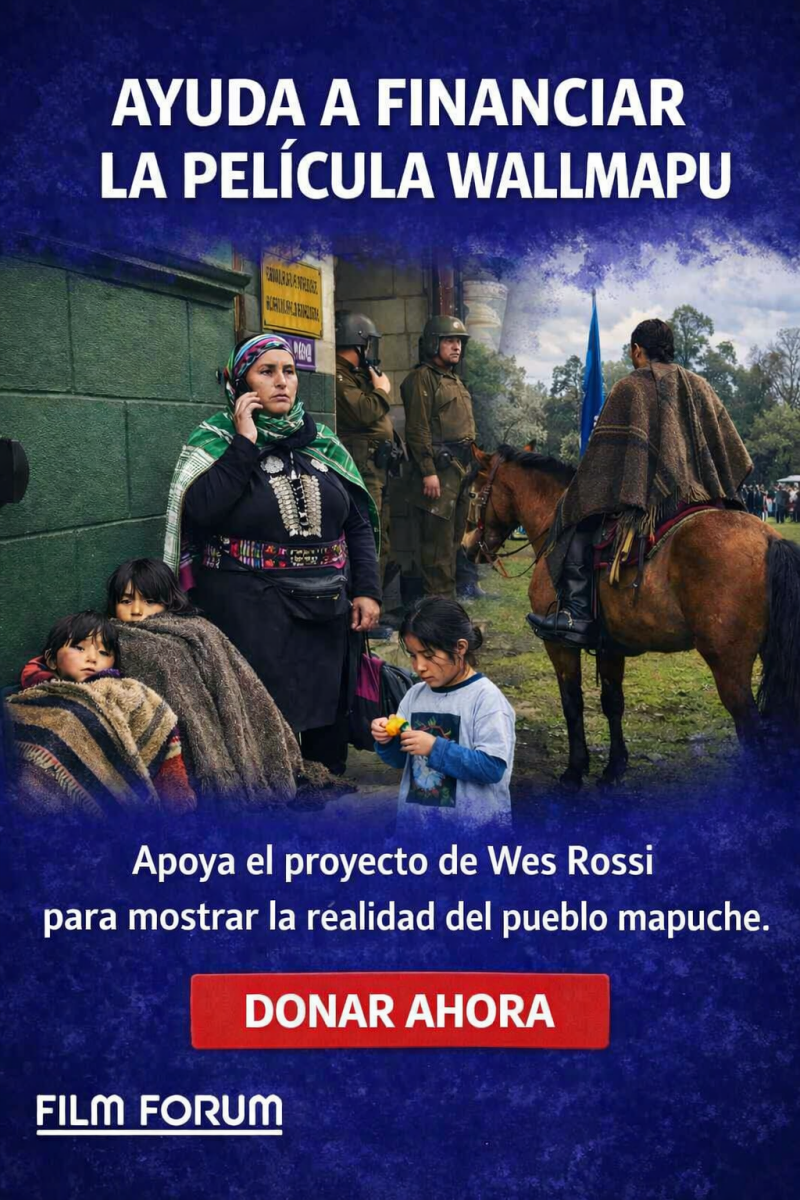 Ayuda a financiar la pelicula Wallmapu 