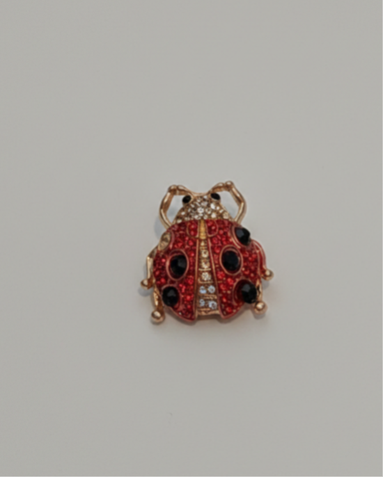 Spilla Coccinella "Portafortuna"