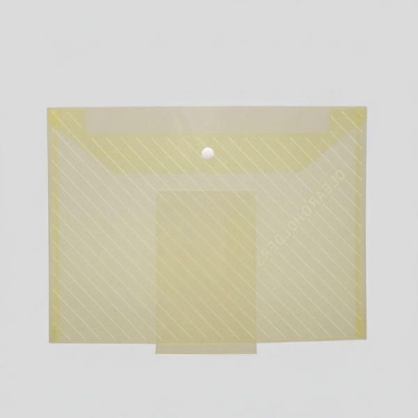 Cartellina Porta Documenti Trasparente