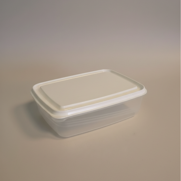 Contenitore Alimentare Ermetico