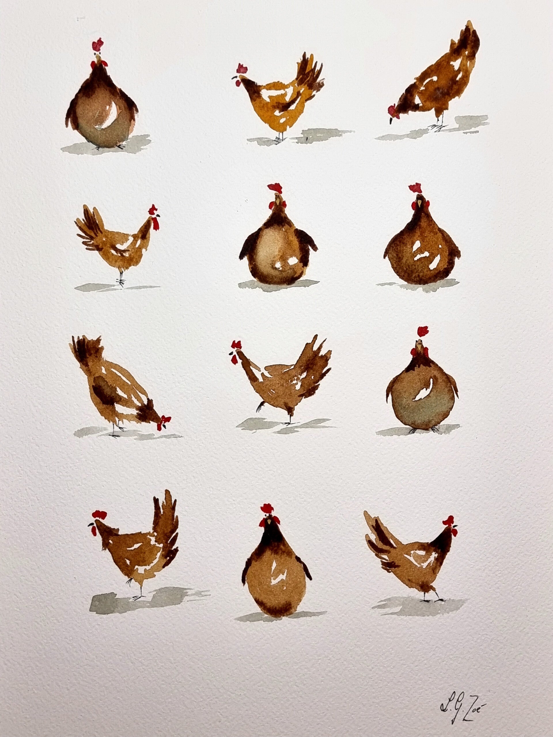 Une poule sur un mur