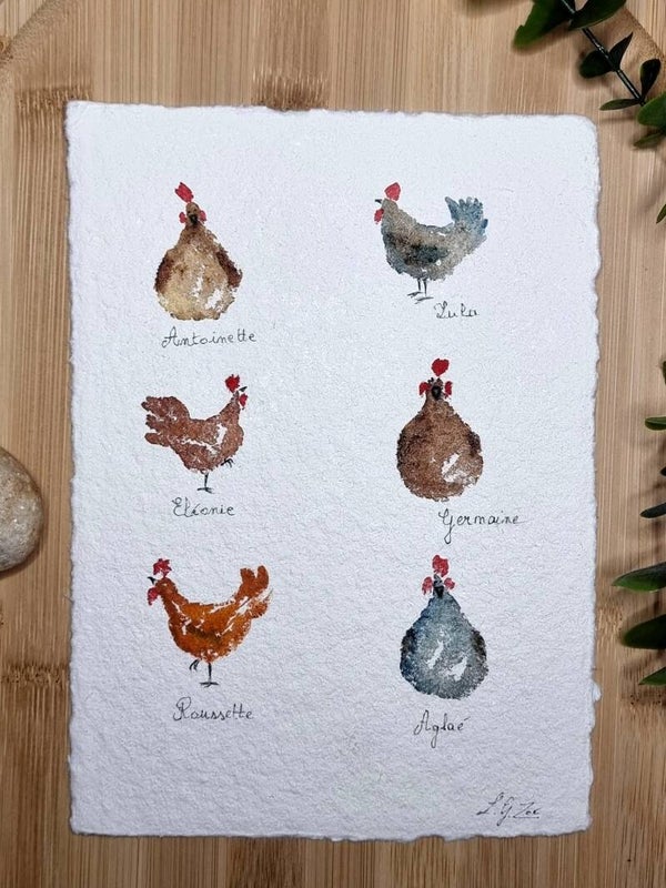 Le Gang des Cocottes