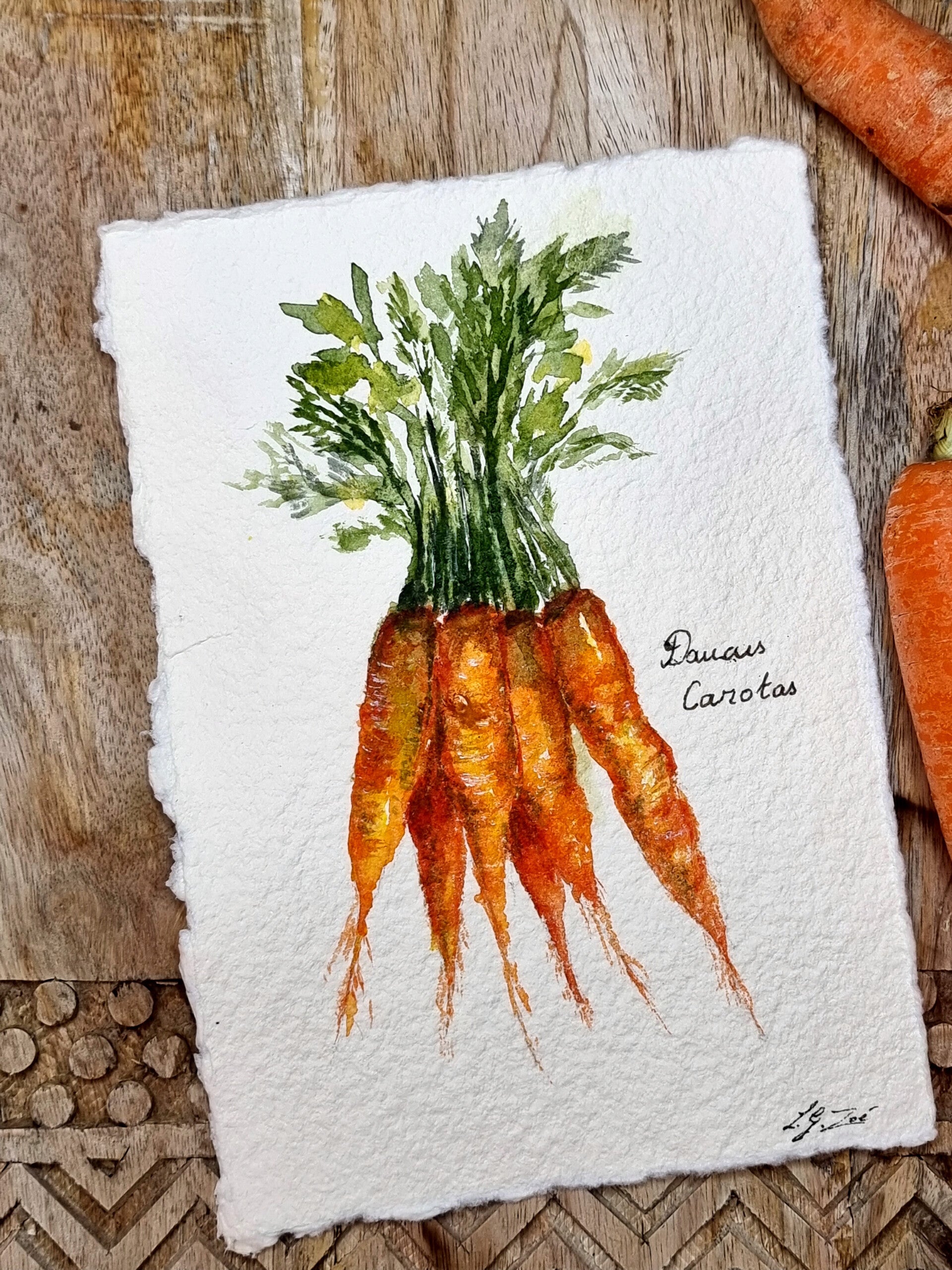 Daucus Carotas