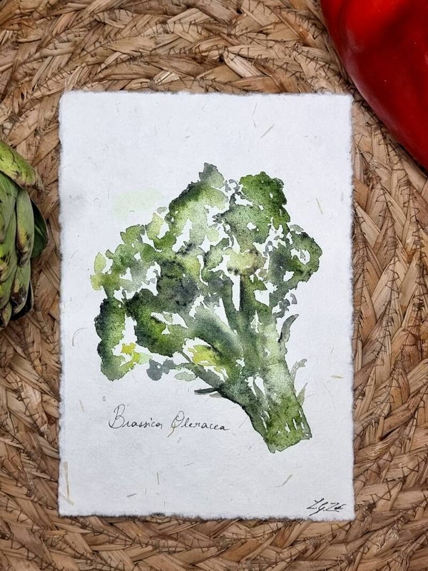 Brassica Oleracea