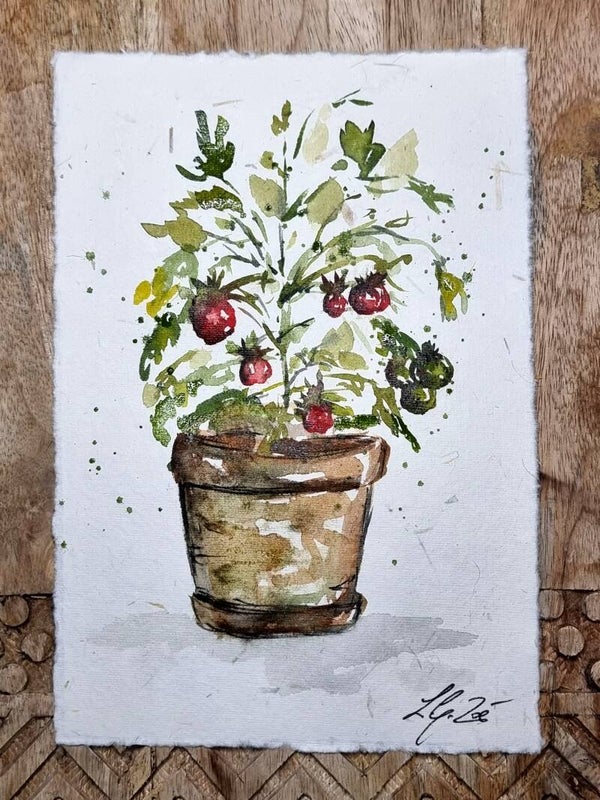 Tomato