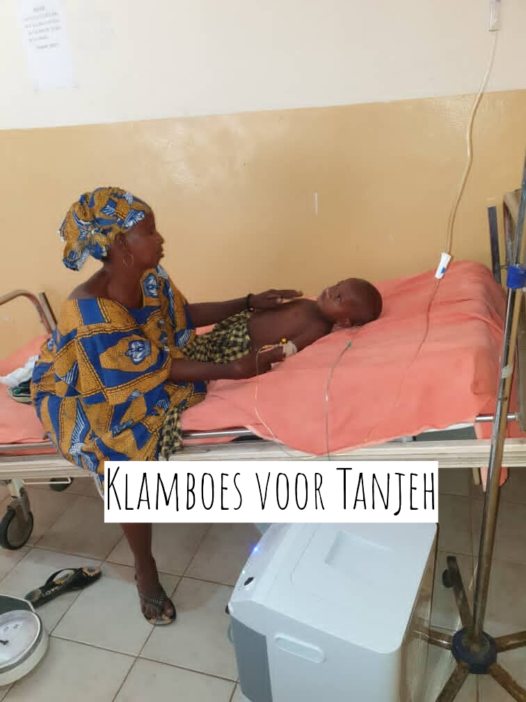 Klamboes voor Tanjeh