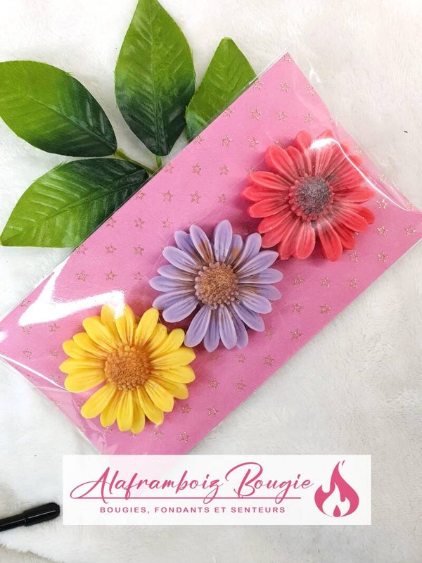 Fondant monoï, pivoine et coquelicot