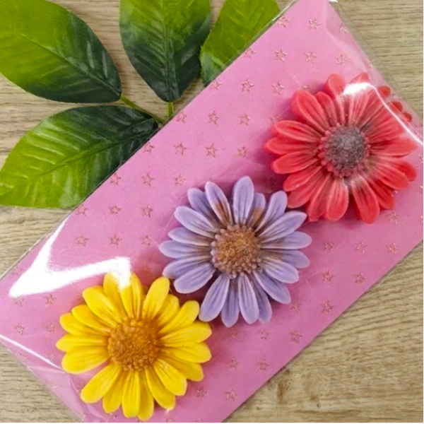 Trio fondants parfumés : Monoï, Lilas et Fleur de Cerisier