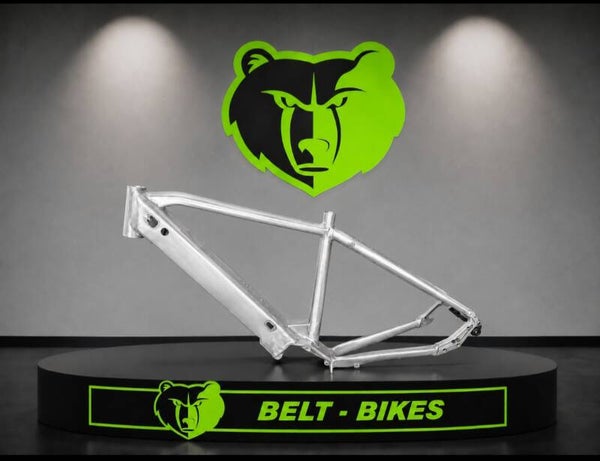 Belt-bikes E-Bike frame 58 cm