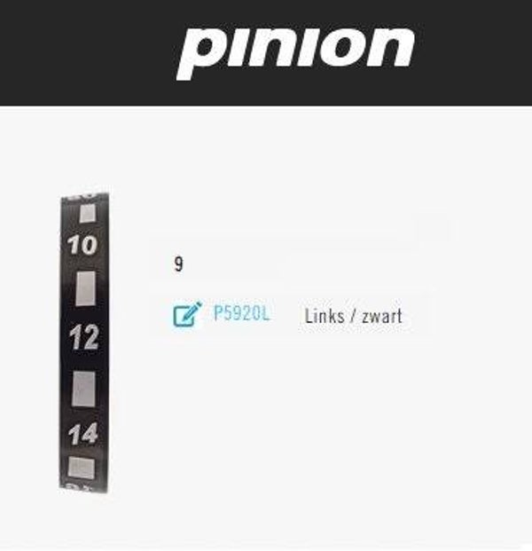 Pinion getallenring 9 links