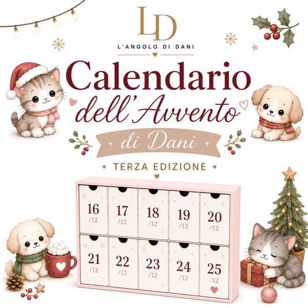 Il Calendario dell'avvento di Dani - terza edizione
