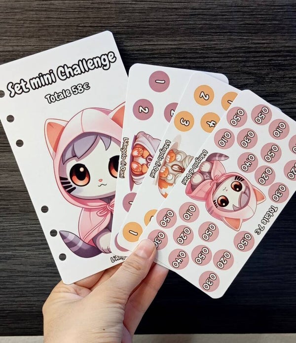 🐱✨ Set Mini Challenge – Totale 58€