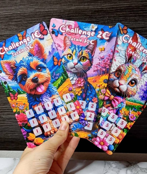 Set Challenge Animali colorati