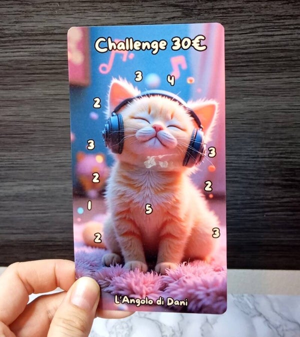 Challenge 30€ Gatto