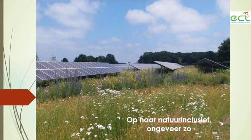 plan-natuurinclusieve-energieweide11-standard.jpg