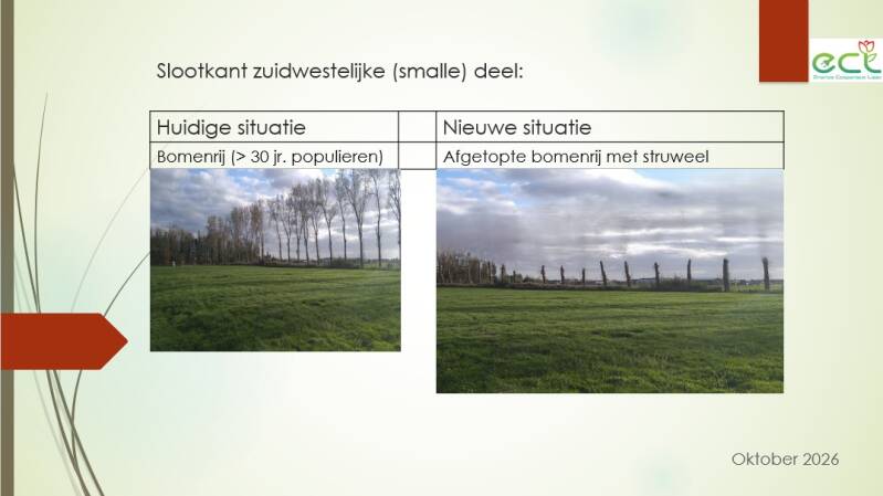 plan-natuurinclusieve-energieweide4-standard.jpg