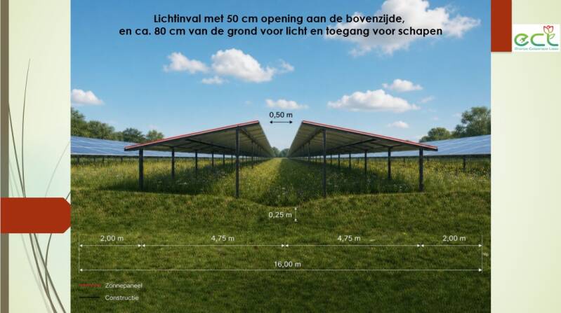 plan-natuurinclusieve-energieweide5-standard.jpg