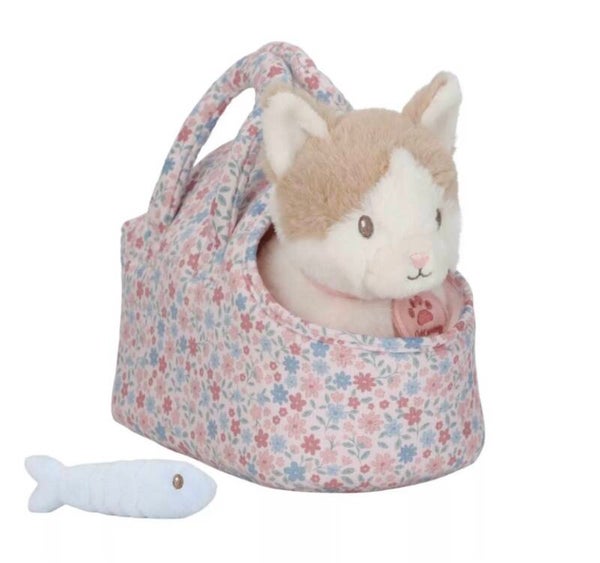 Little dutch kat lootje