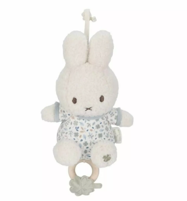 Muziek Nijntje Lootje