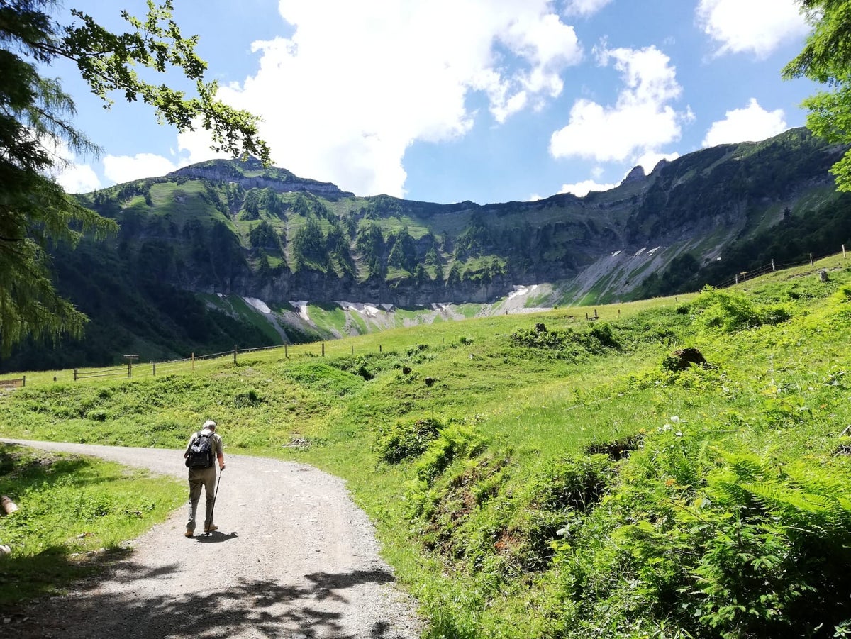 Vorderbärnau
