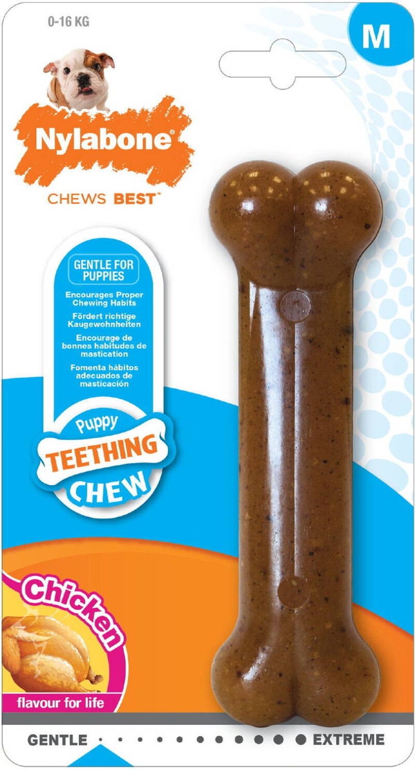 Os chiot saveur poulet  NYLABONE (M)