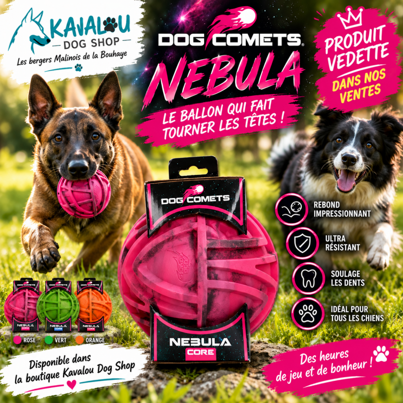 Balle résistante pour chien . Dog Comets . Jouet chien 