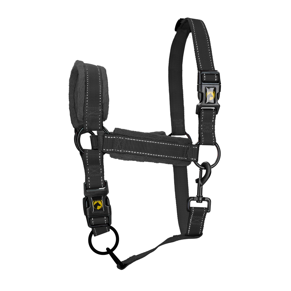 EXCELLENT HORSE Licol supérieur pour chevaux NOIR XS à XL
