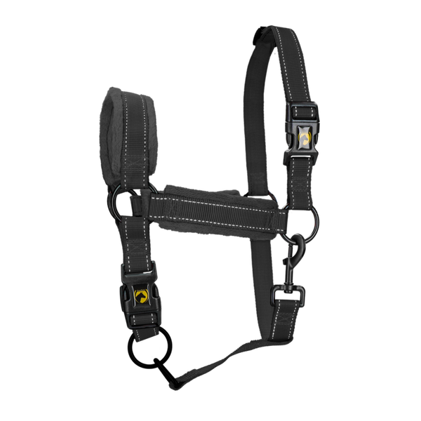EXCELLENT HORSE Licol supérieur pour chevaux NOIR XS à XL