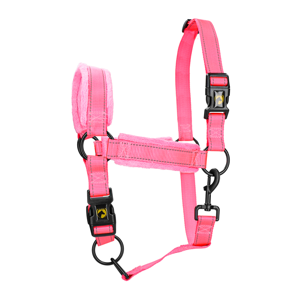 EXCELLENT HORSE Licol supérieur pour chevaux ROSE XS à XL