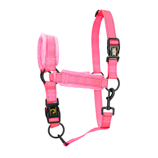 EXCELLENT HORSE Licol supérieur pour chevaux ROSE XS à XL