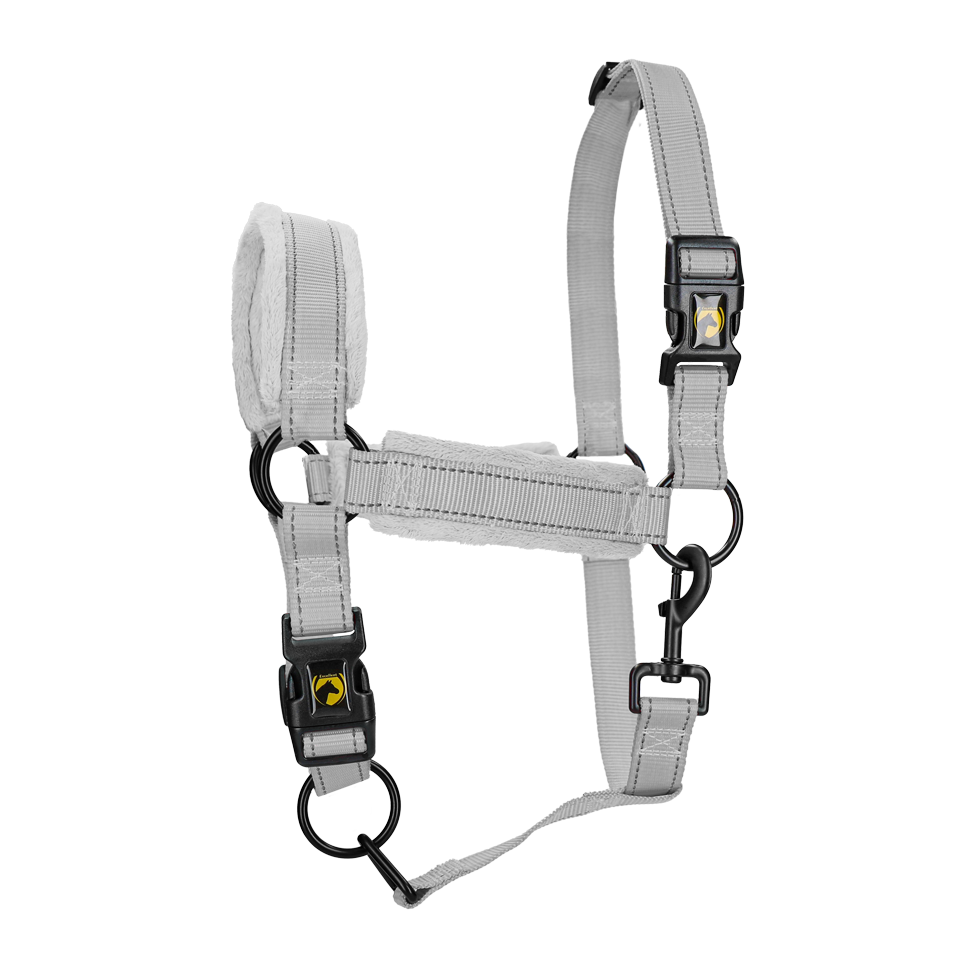 EXCELLENT HORSE Licol supérieur pour chevaux GRIS XS à XL