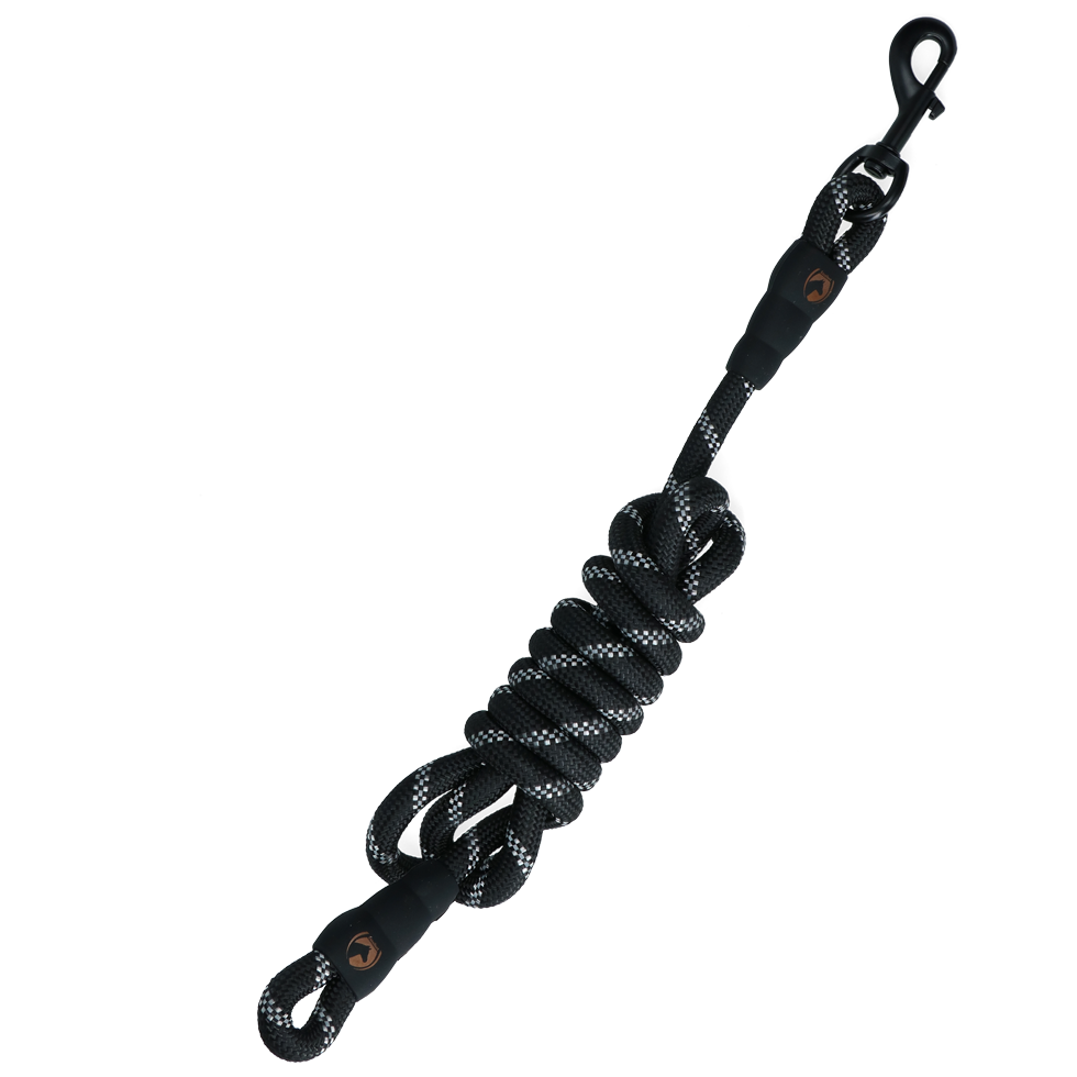 EXCELLENT HORSE Longe pour chevaux 2m NOIR