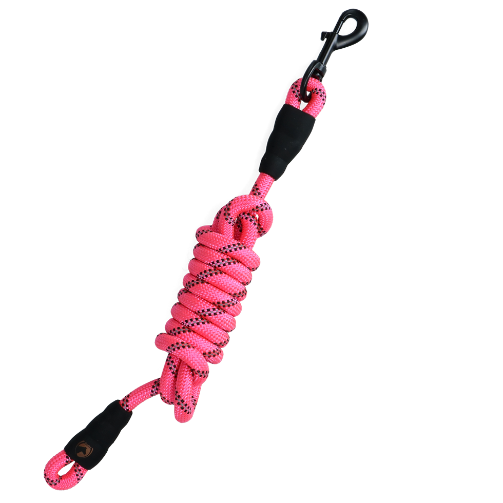 EXCELLENT HORSE Longe pour chevaux 2m ROSE