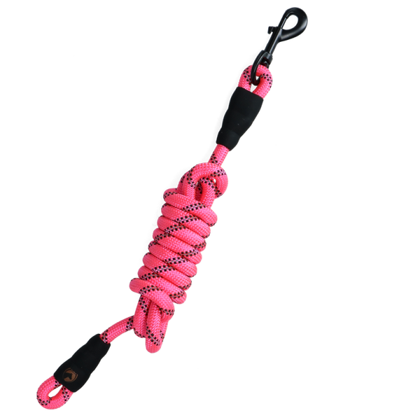 EXCELLENT HORSE Longe pour chevaux 2m ROSE