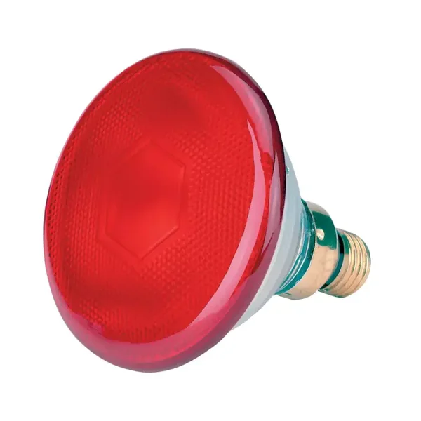 Ampoule à économie d'énergie 175 watt