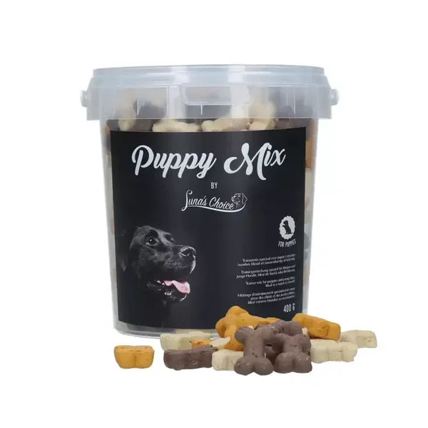 Puppy mix Luna's Choice