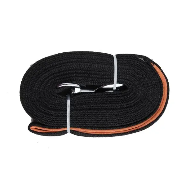 PAWISE longe 10m