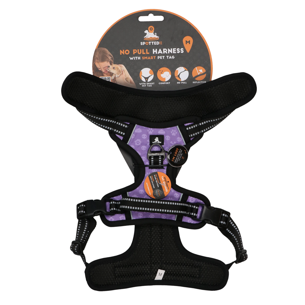 SPOTTED PRO Harnais anti traction M VIOLET