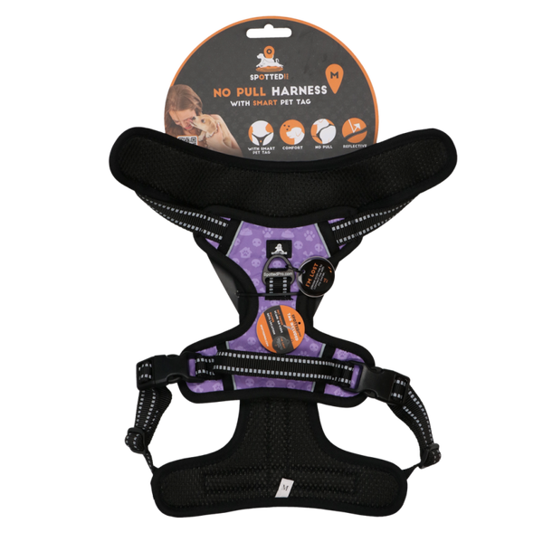 SPOTTED PRO Harnais anti traction M VIOLET