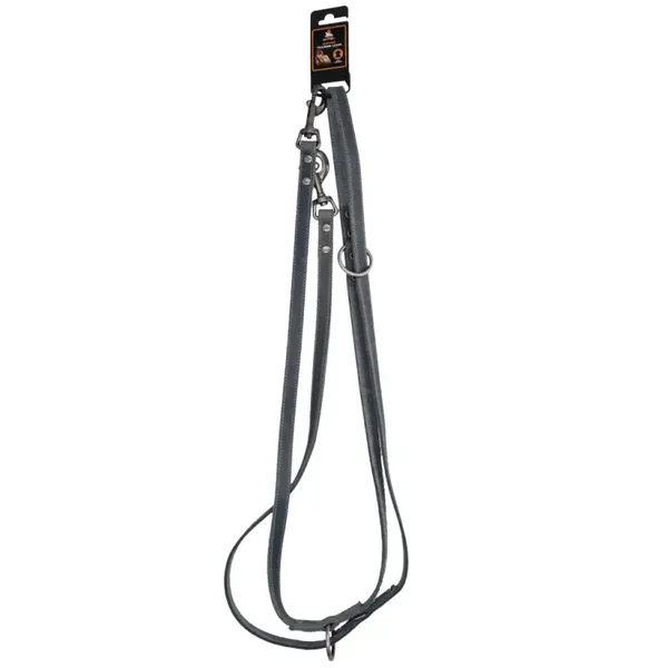 Spotted pro laisse d'entraînement cuir 250 cm x 2 cm 4 coloris