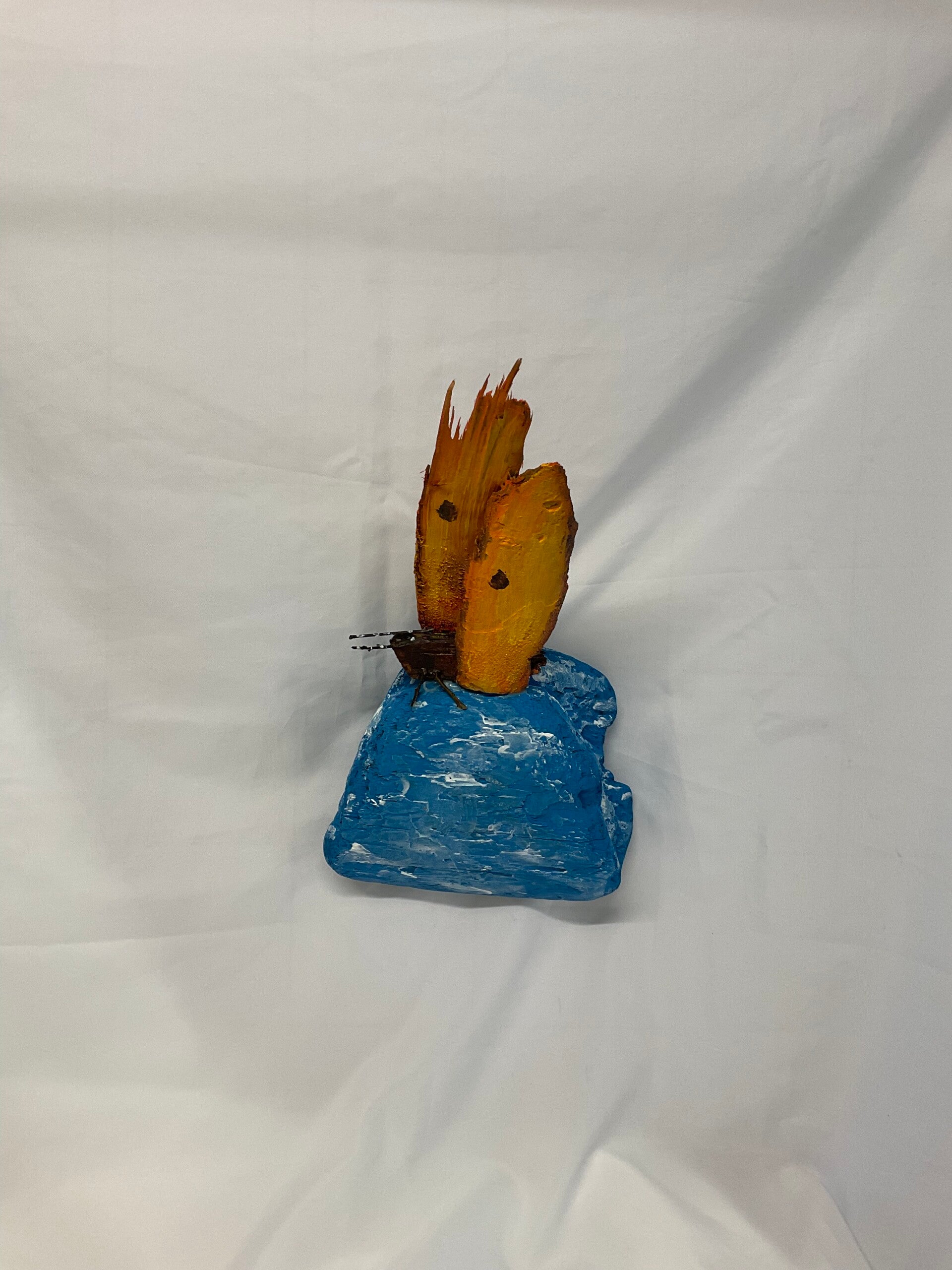 2026 Schmetterling auf Grosse Wolke