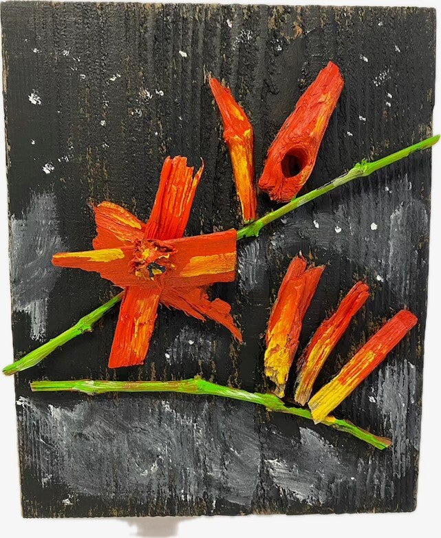 2026 Crocosmia Masoniorum